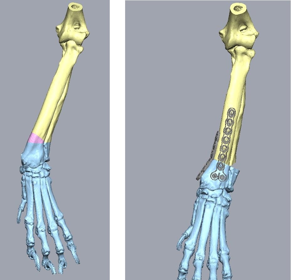 floyd 3d scans